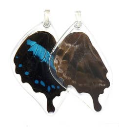 Blue Swallowtail Oribazus Butterfly Earrings