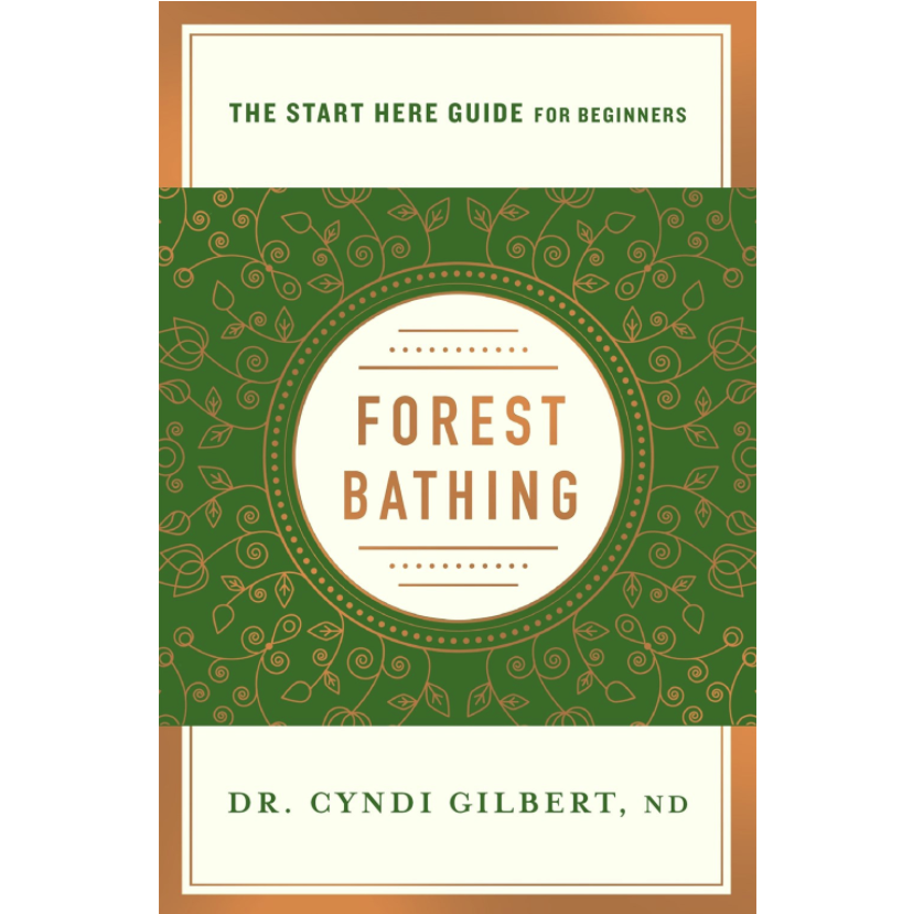 Forest Bathing: A Start Here Guide for Beginners