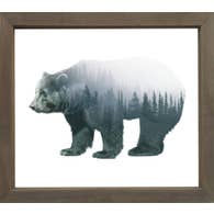 Forest Bear