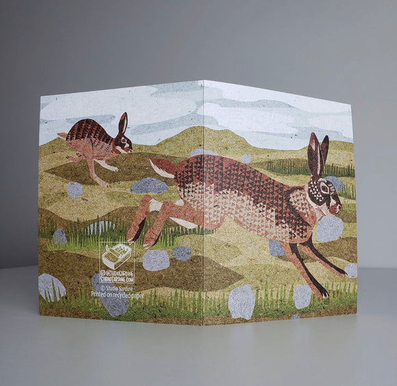 Wild Hares Blank Greeting Card