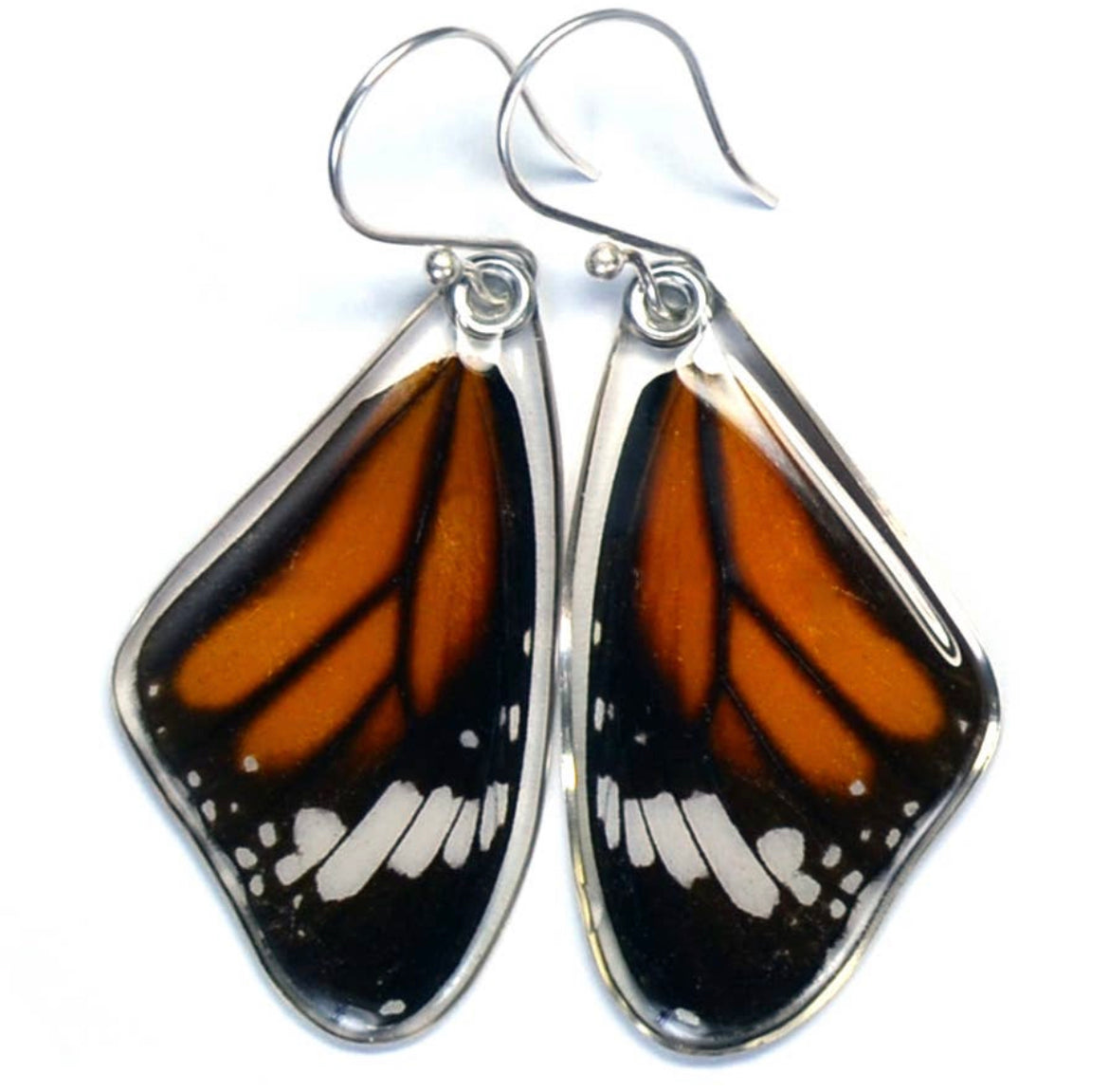 Danaus Genutia Striped Tiger Butterfly Earrings