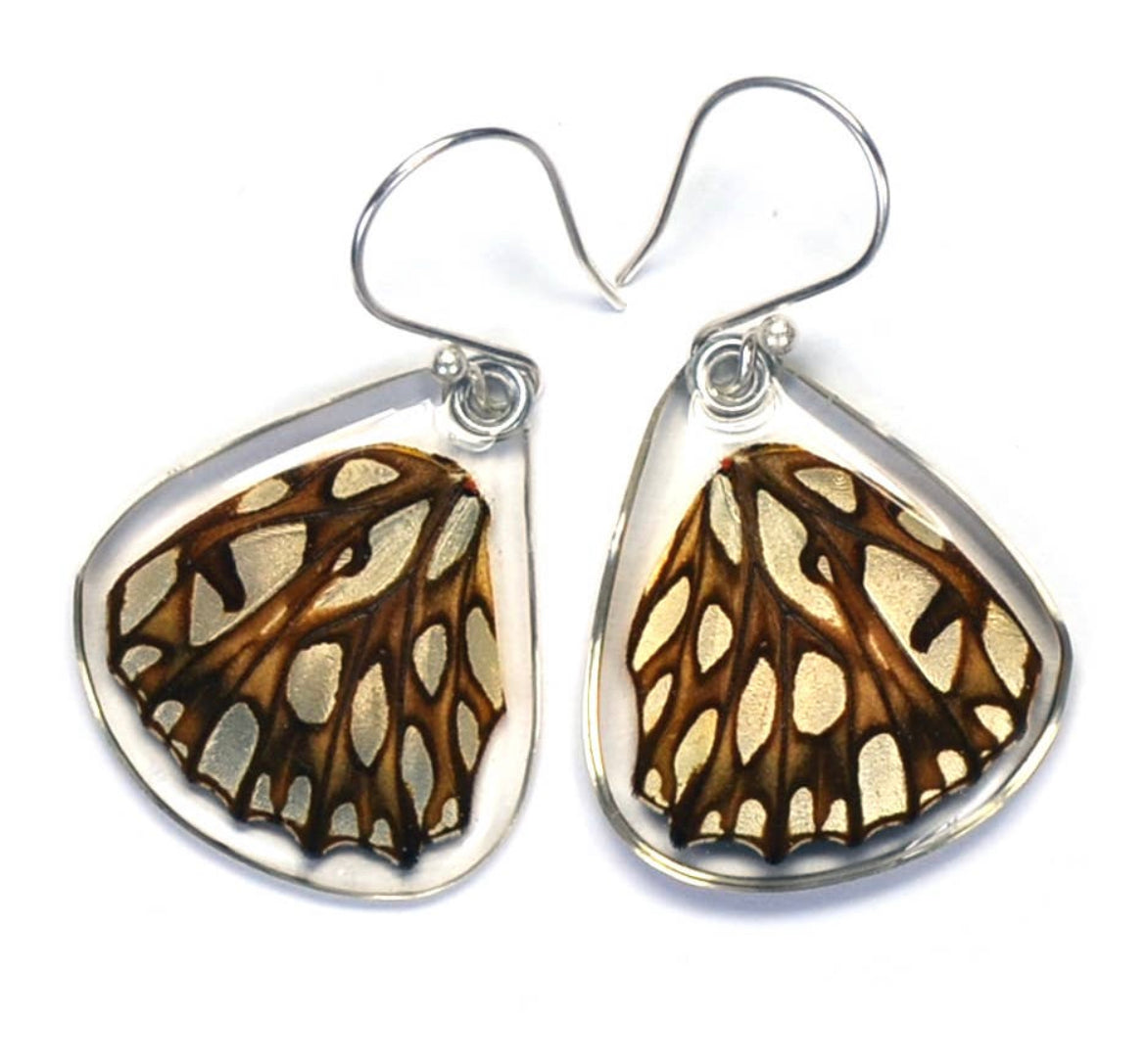 Dione Moneta Mexican Silverspot Butterfly