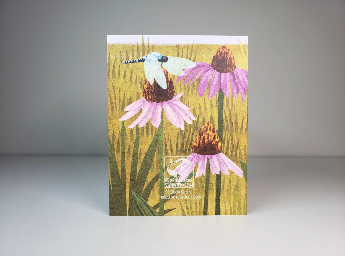 Coneflowers and Dragonflies Blank Greeting Card