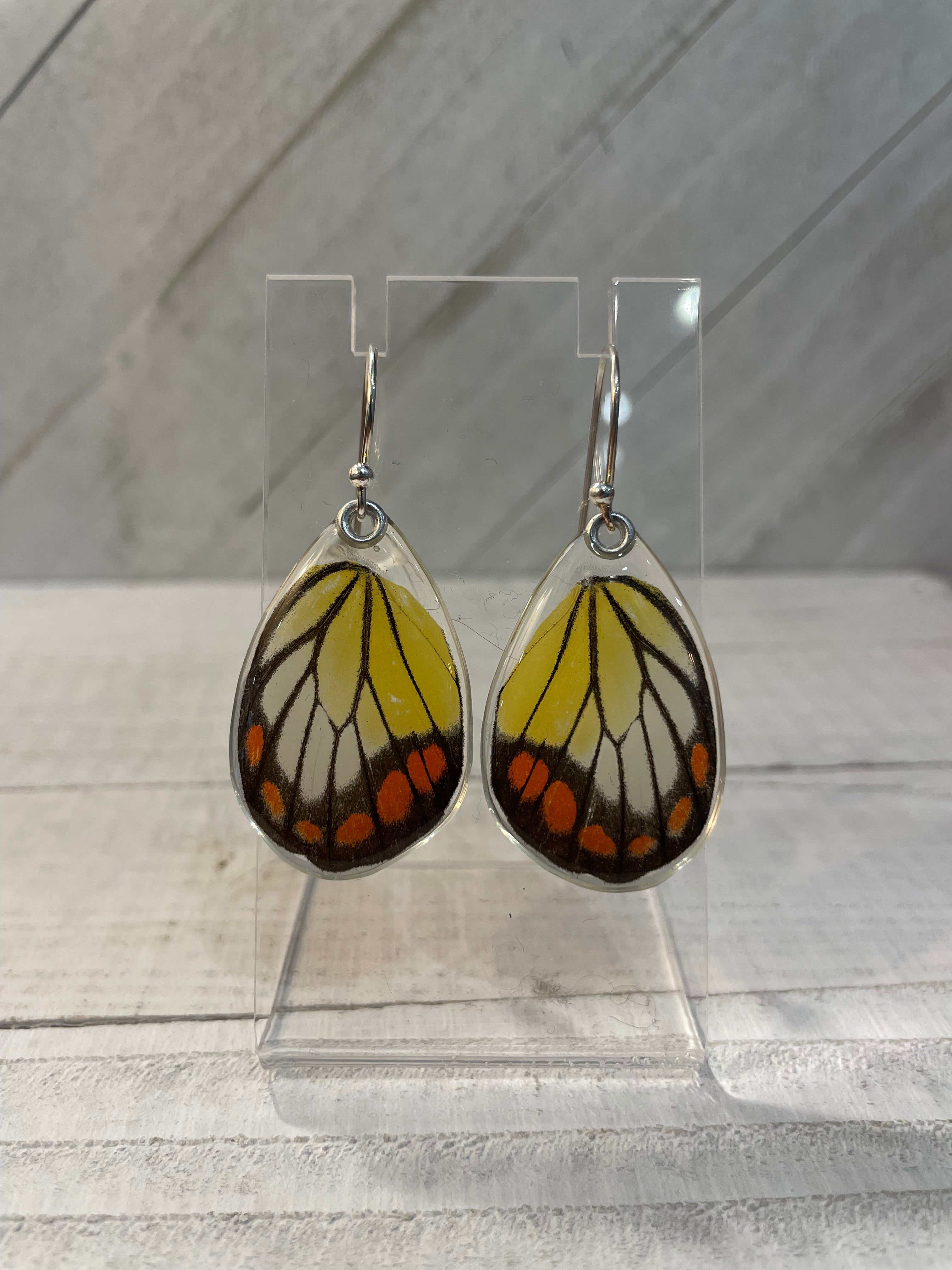 Delias Hyparete Painted Jezabel Butterfly Earrings