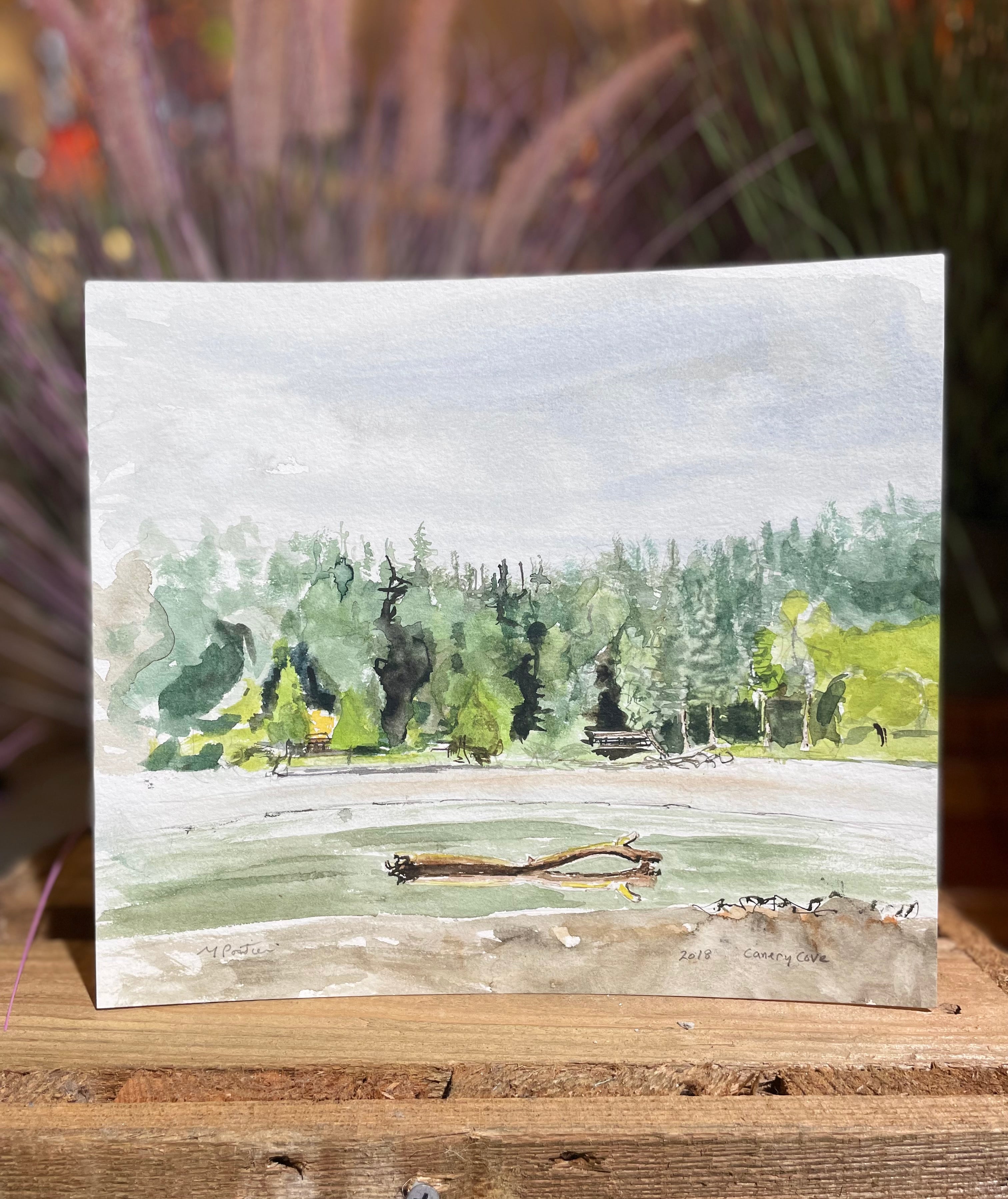 Canery Cove 2018| Pontieri