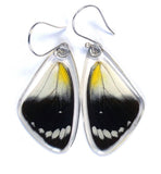 0375 Butterfly Earrings, Timor Butterfly Wings