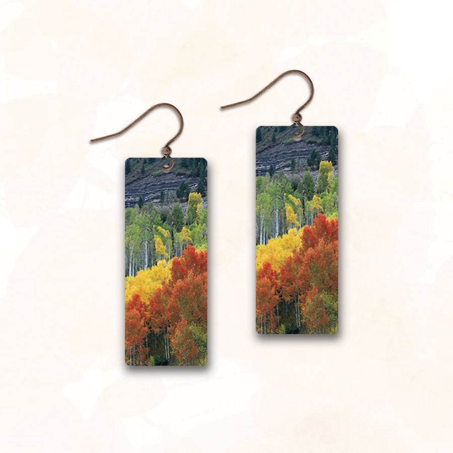 J04CE- DC Design Earrings