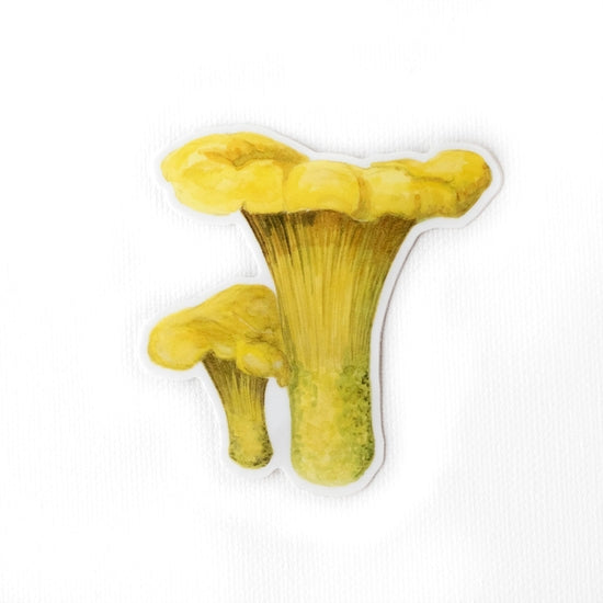 Chanterelle Mushroom Sticker