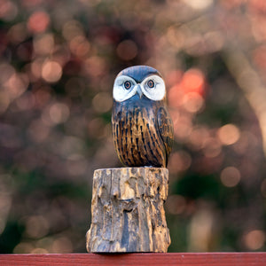 Owl - Saw Whet - 10"H