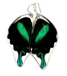 Peacock Swallowtail Butterfly Earrings