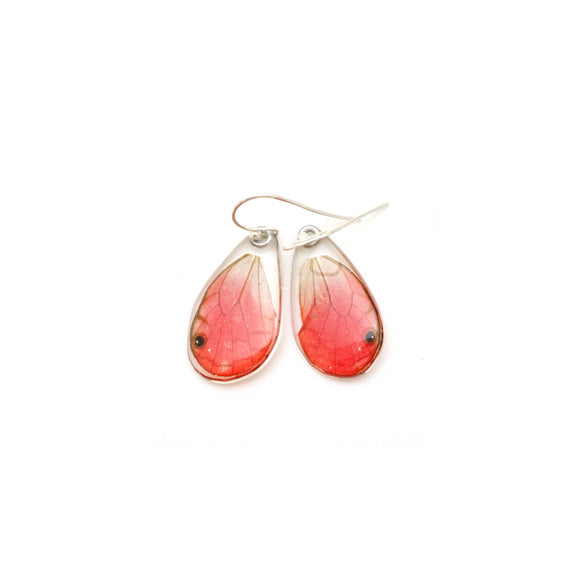 Pink Glasswing Butterfly Earrings