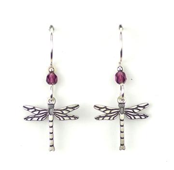 Small Grape Dragonfly