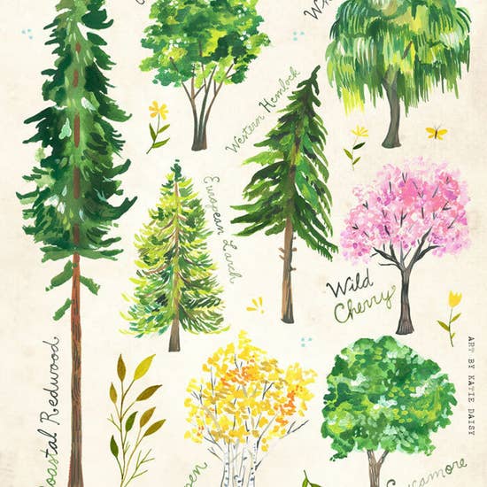 Tree ID Print Art Print