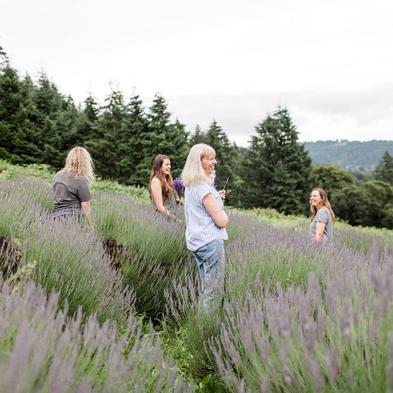 Victoria's Lavender