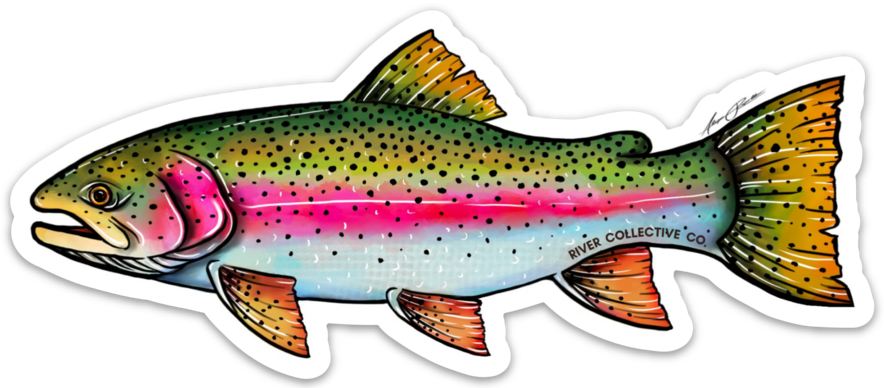 River Collective Co.