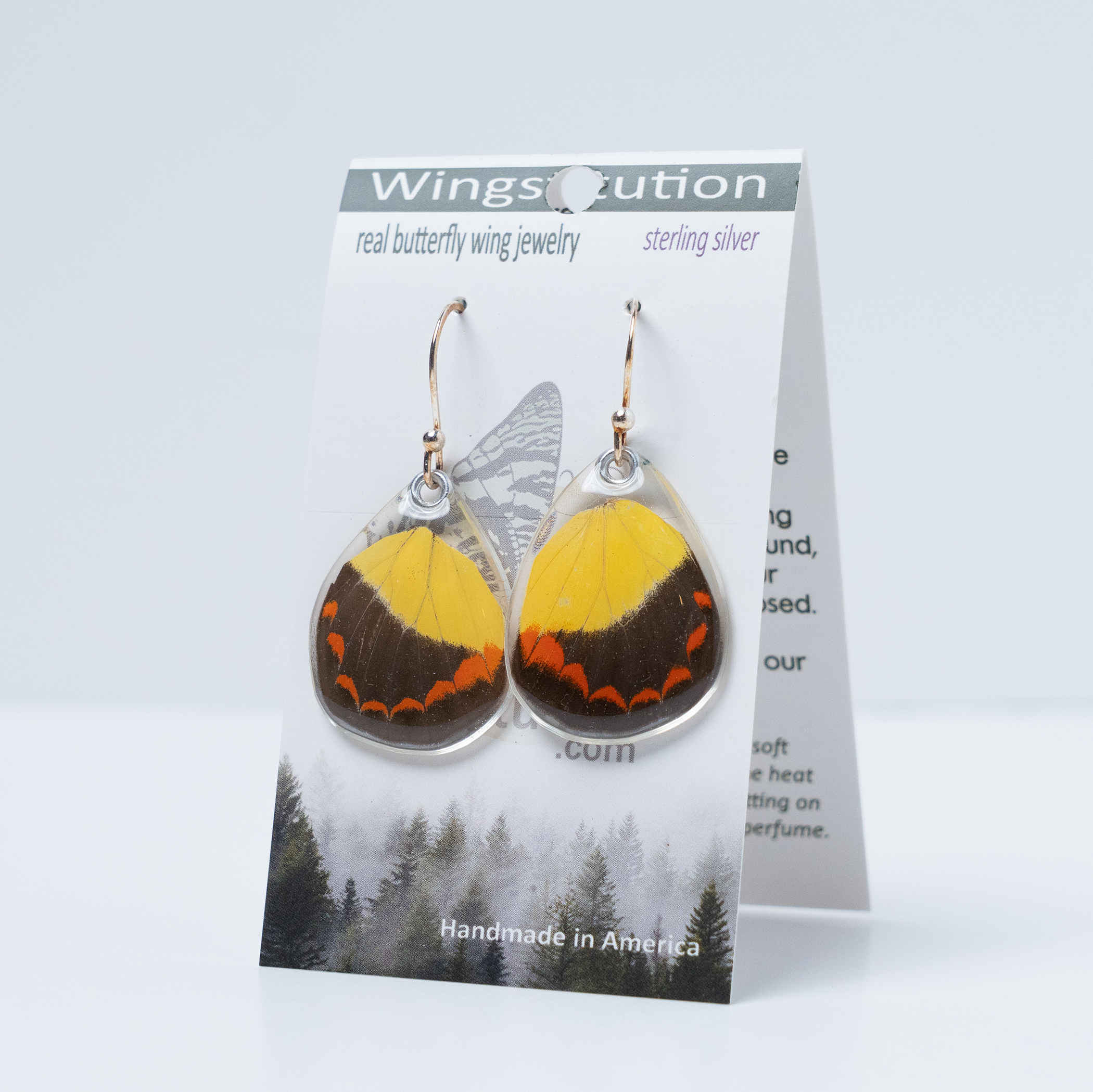 0375 Butterfly Earrings, Timor Butterfly Wings