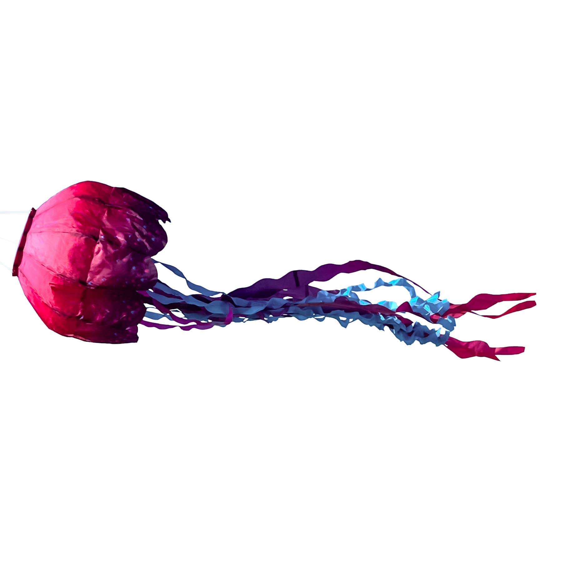 Jellyfish Big Breeze Windsock™