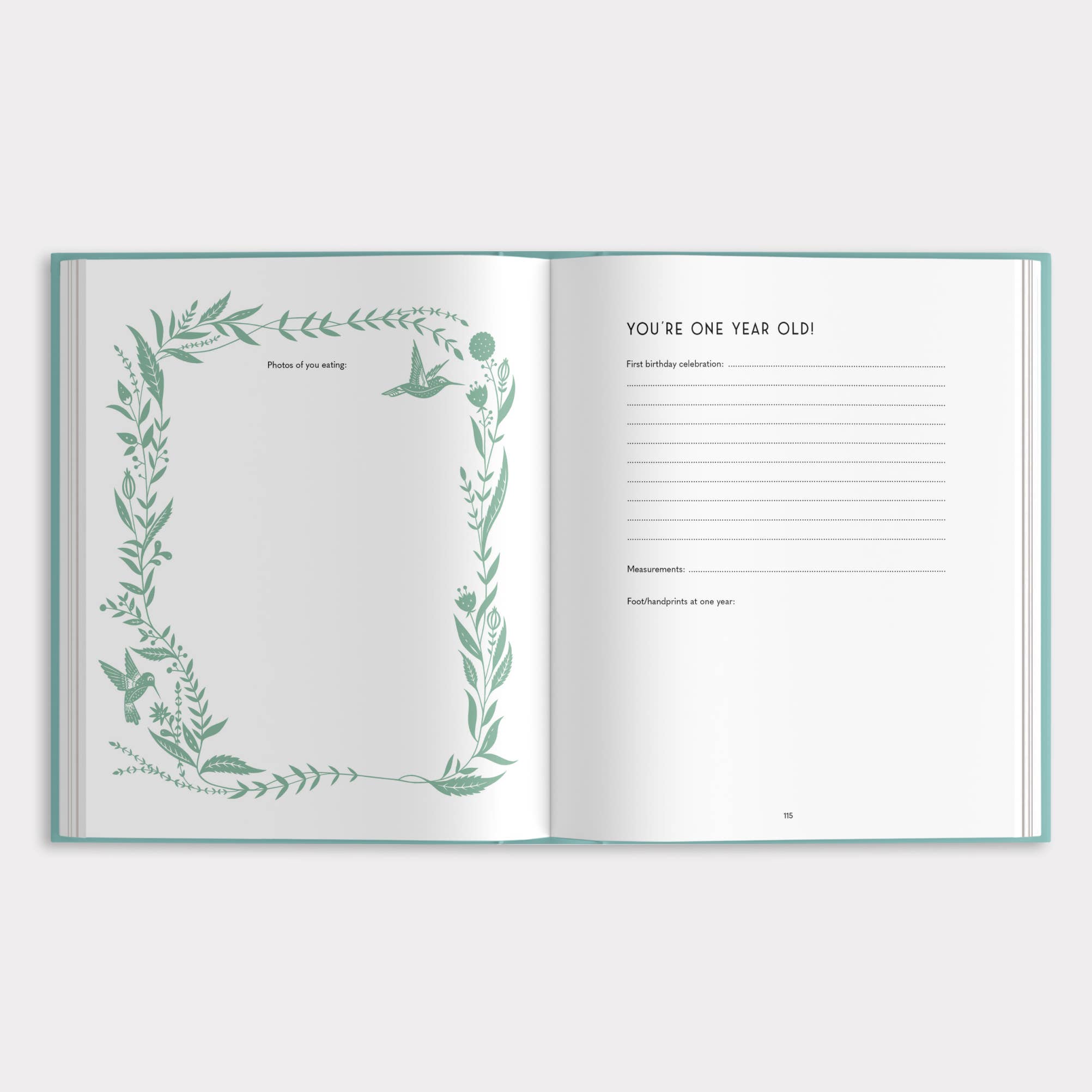 My Baby's Book: A Keepsake Memory Book for Parents