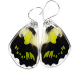 Graphium Tyndereus Green Malachite Butterfly Earrings