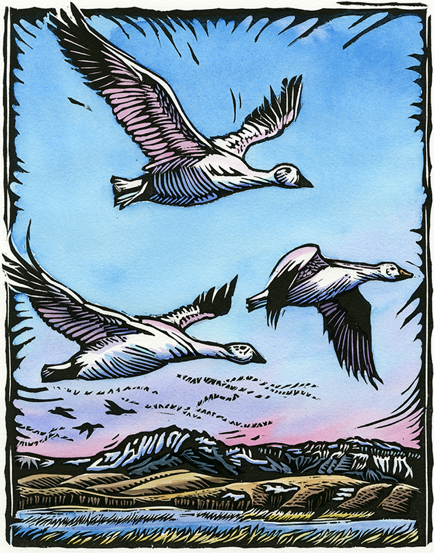 2026 Vitality Woodcut Calendar (6"x12") 