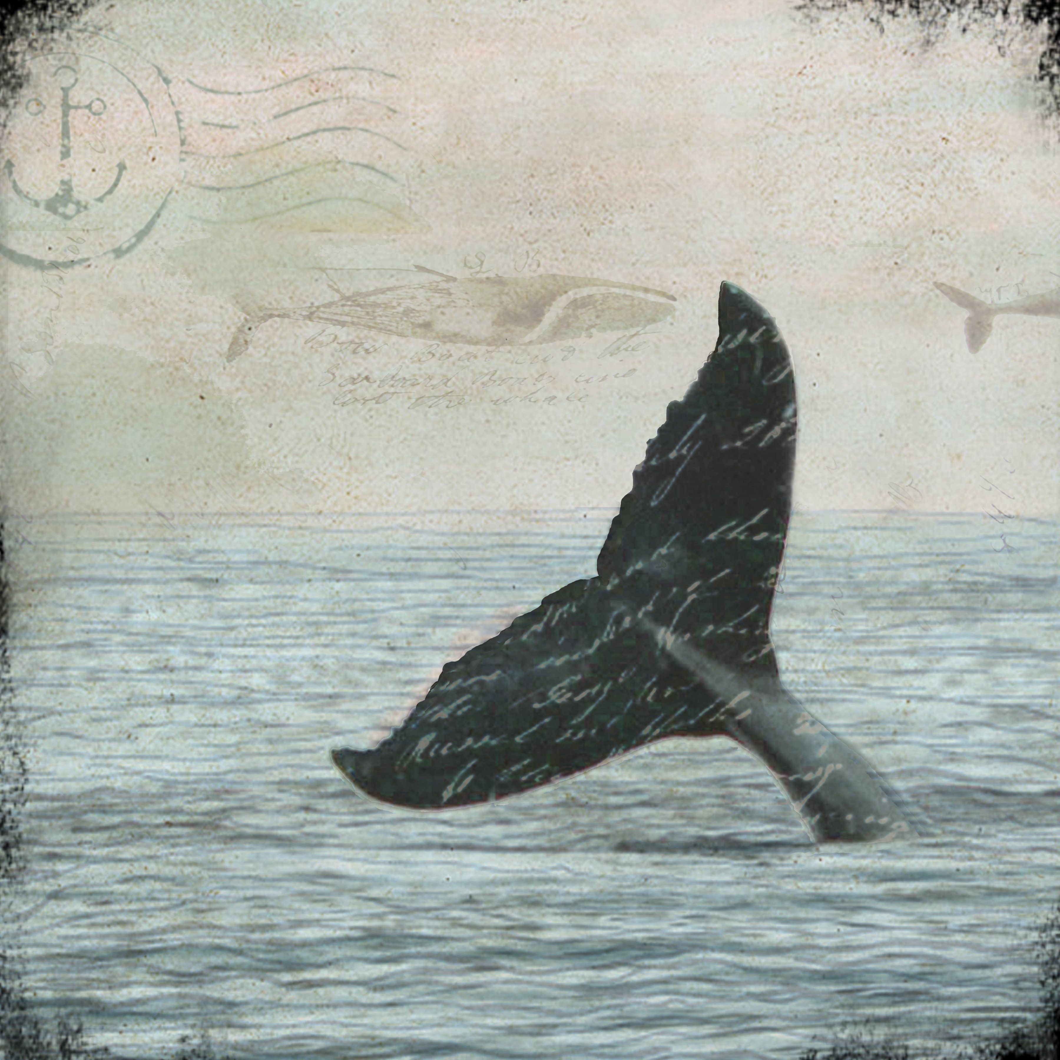 Marble Coasters - Whale Tail