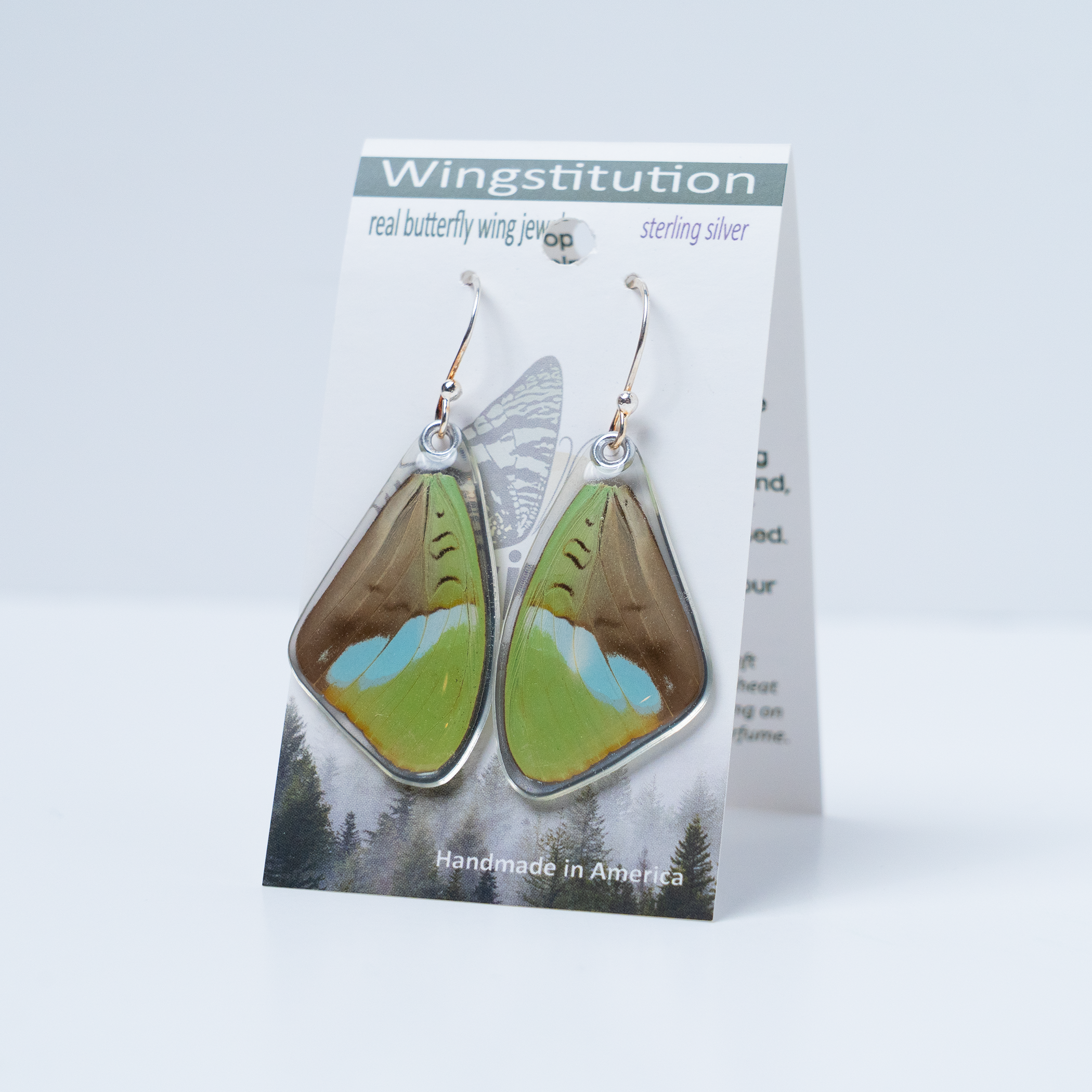 Nesseae Hewitsonii Butterfly Earrings