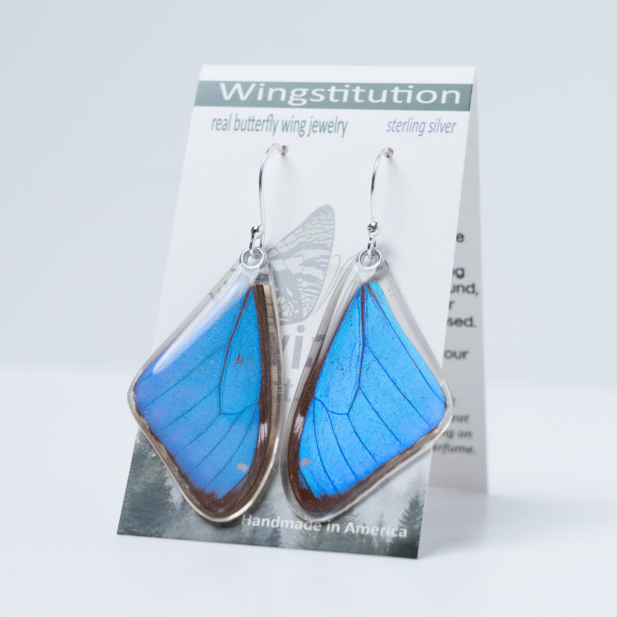 Blue A Morpho Aega Butterfly Earrings
