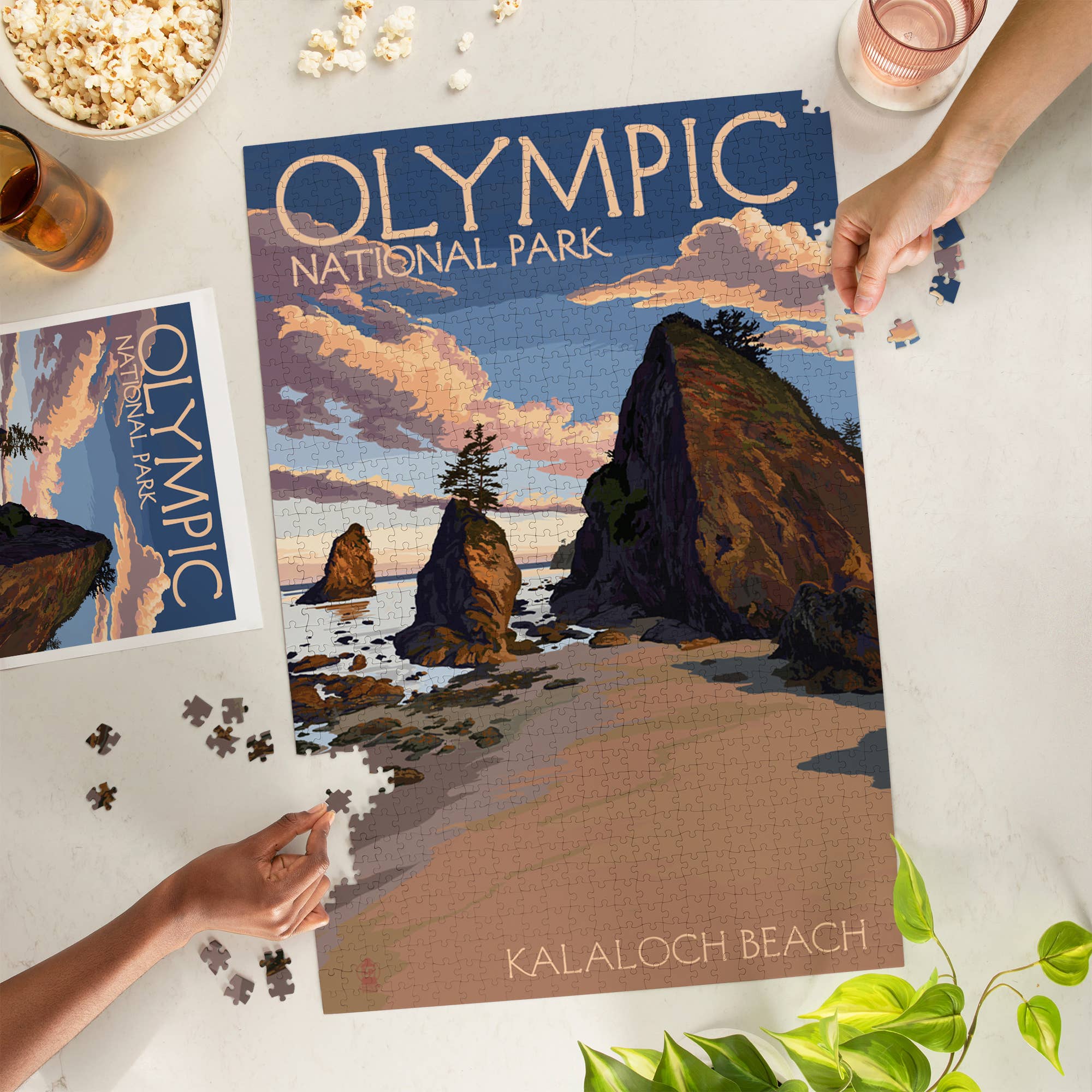 1000 PIECE PUZZLE Olympic National Park Kalaloch Beach
