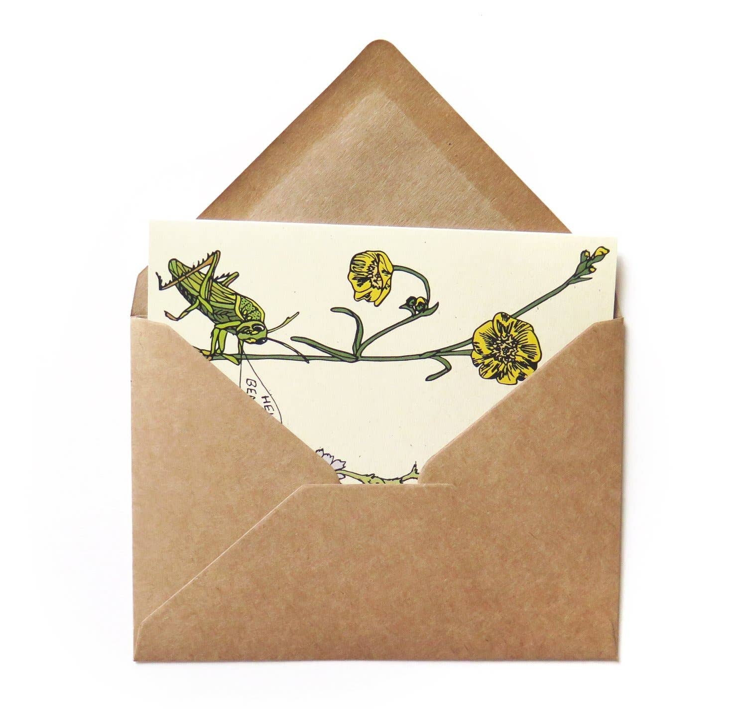 Little Bugs Cards - Grasshopper and Caterpillar