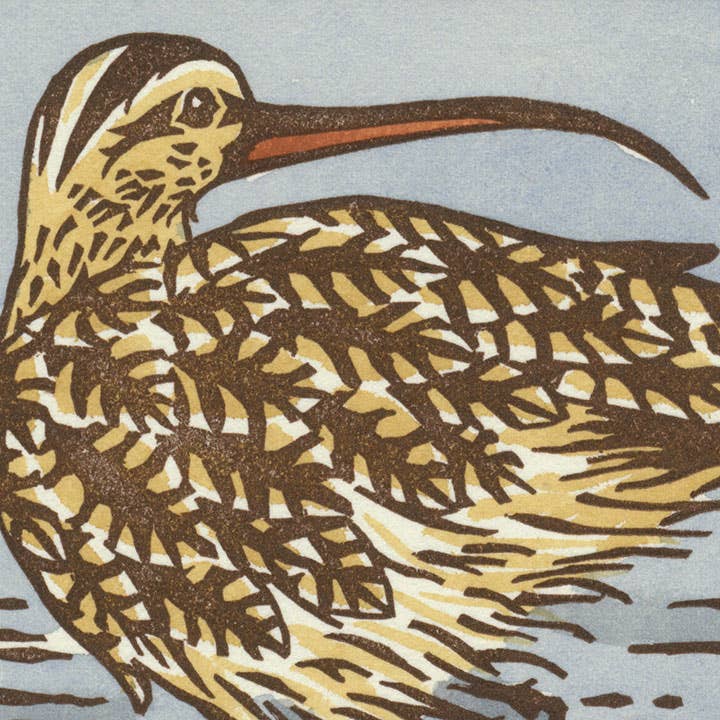 Long-Billed Curlew Card: Individual