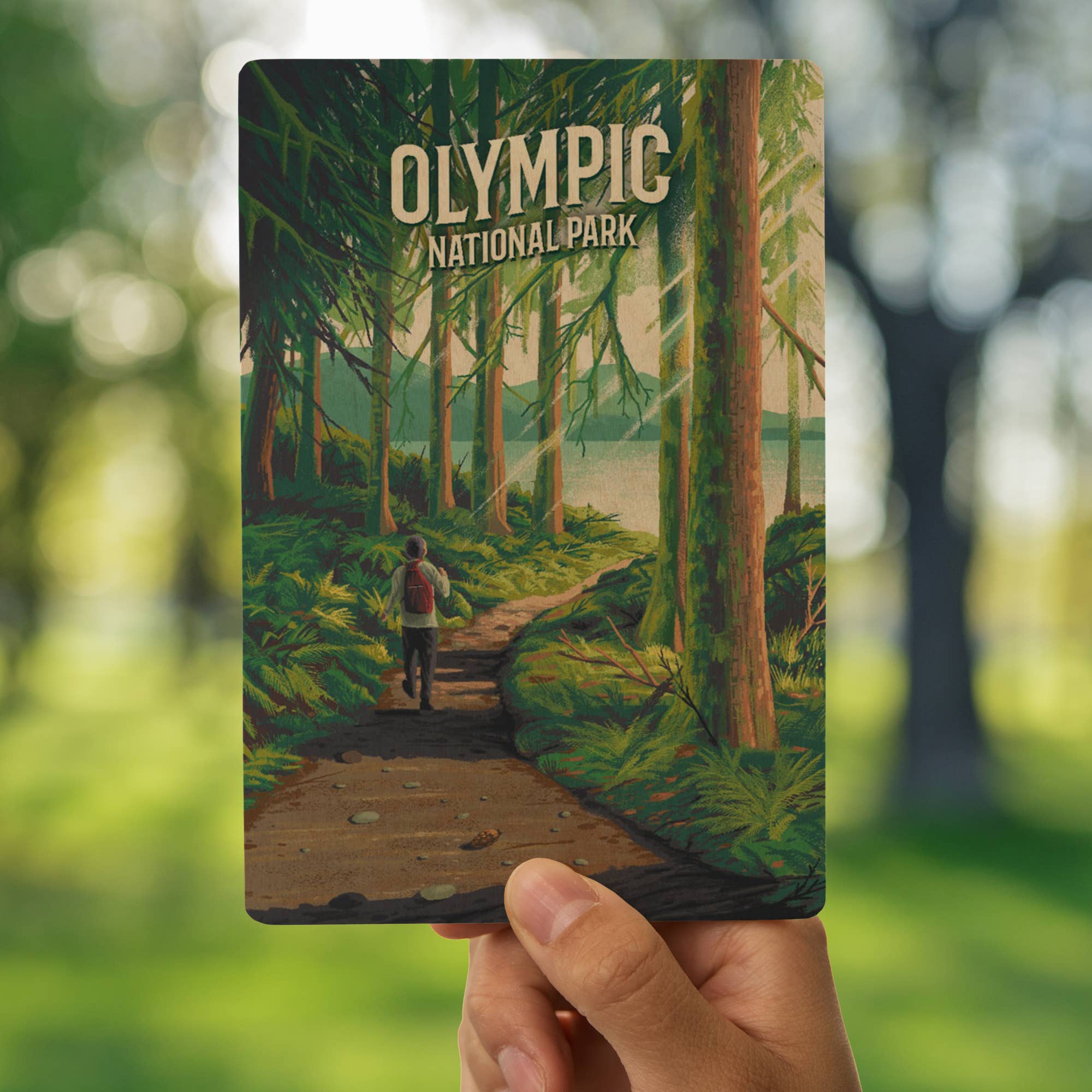 WOOD POSTCARD Olympic National Park, Walk in the Woods