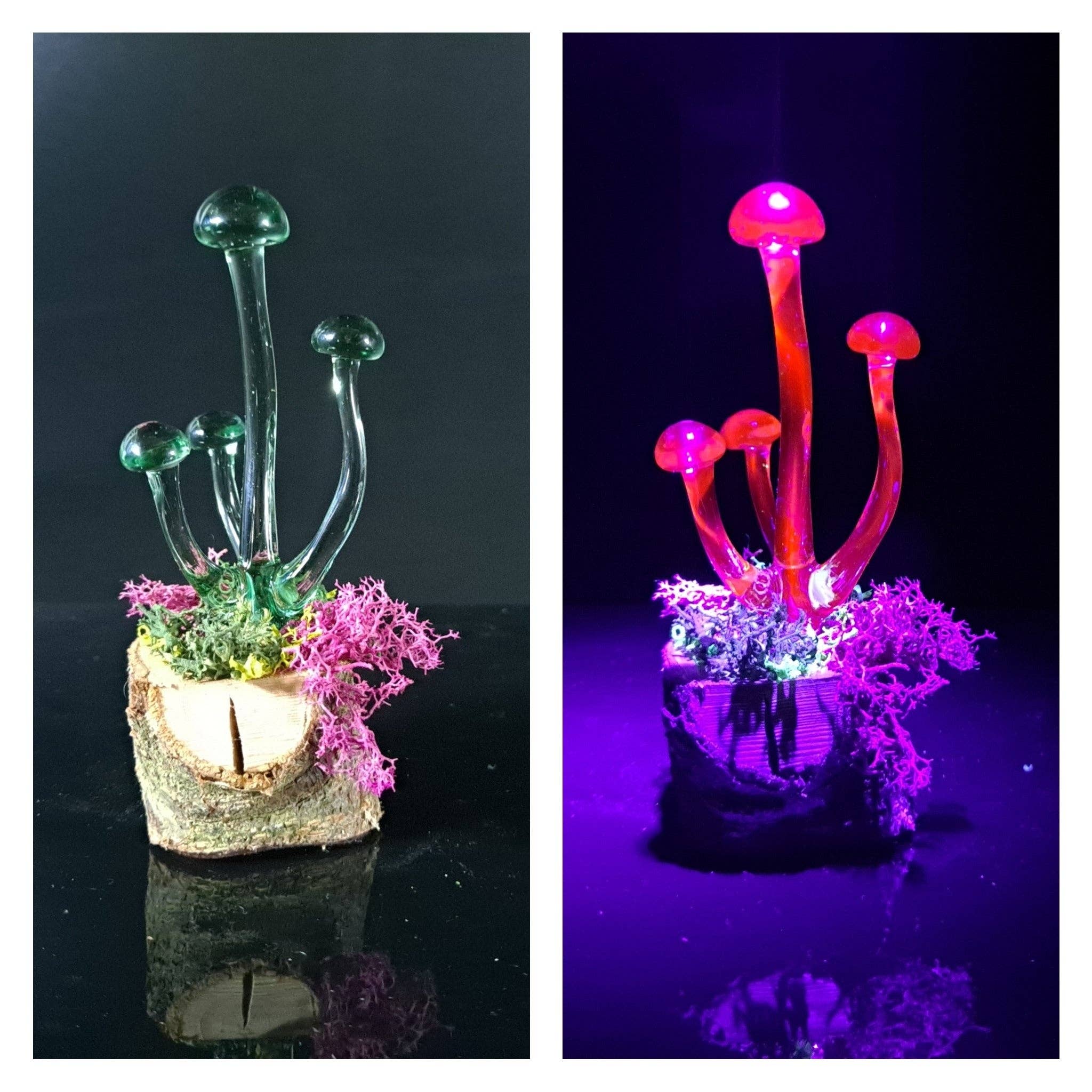 Mushroom Sculpture, UV Black Light, Made to Order: Atomic stardust