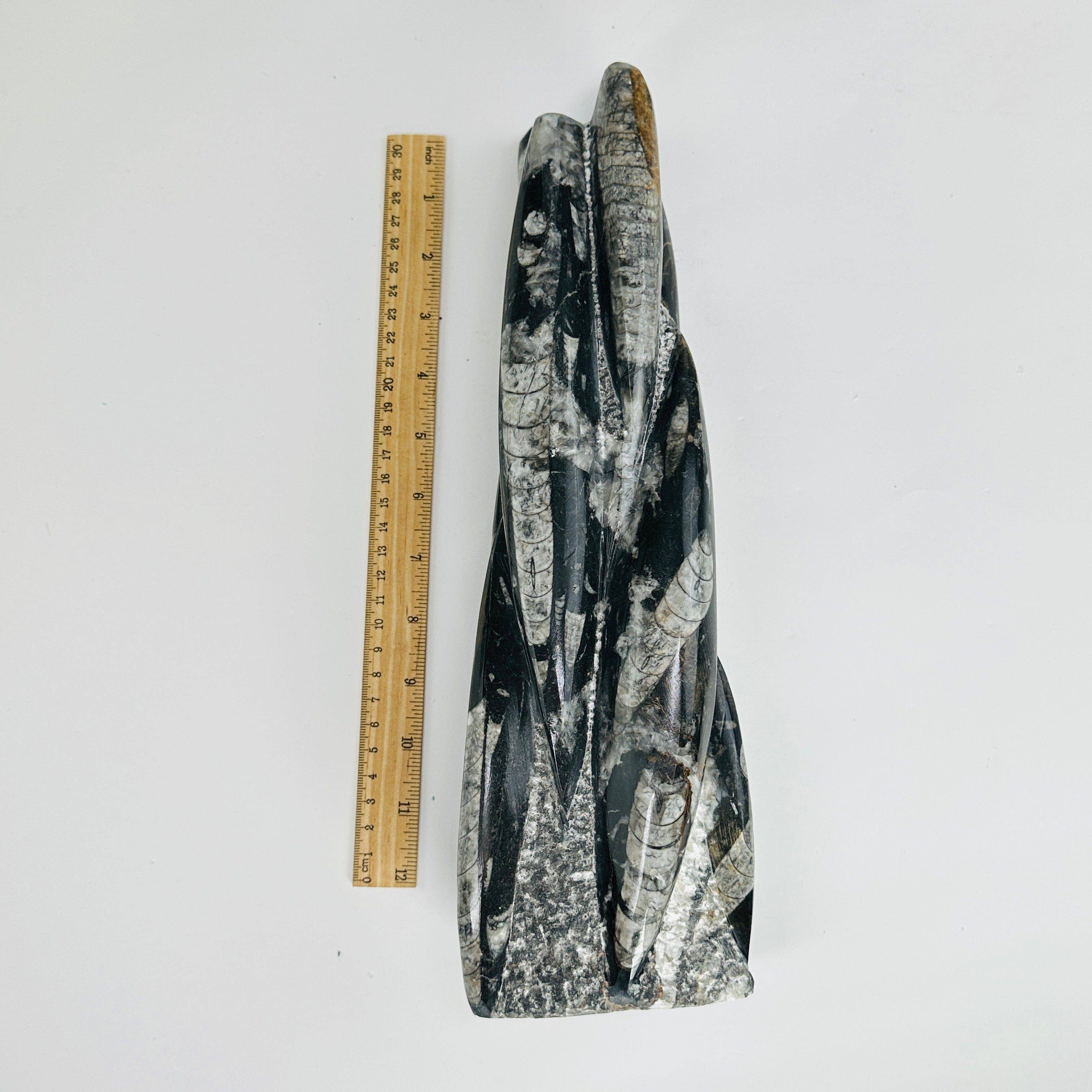 Crystal Orthoceras Tower Large 35-38 cm