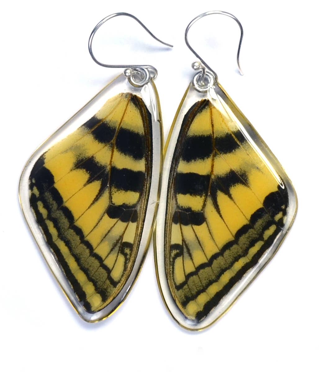 0270 Butterfly Earrings, Eastern Tiger Swallowtail, top