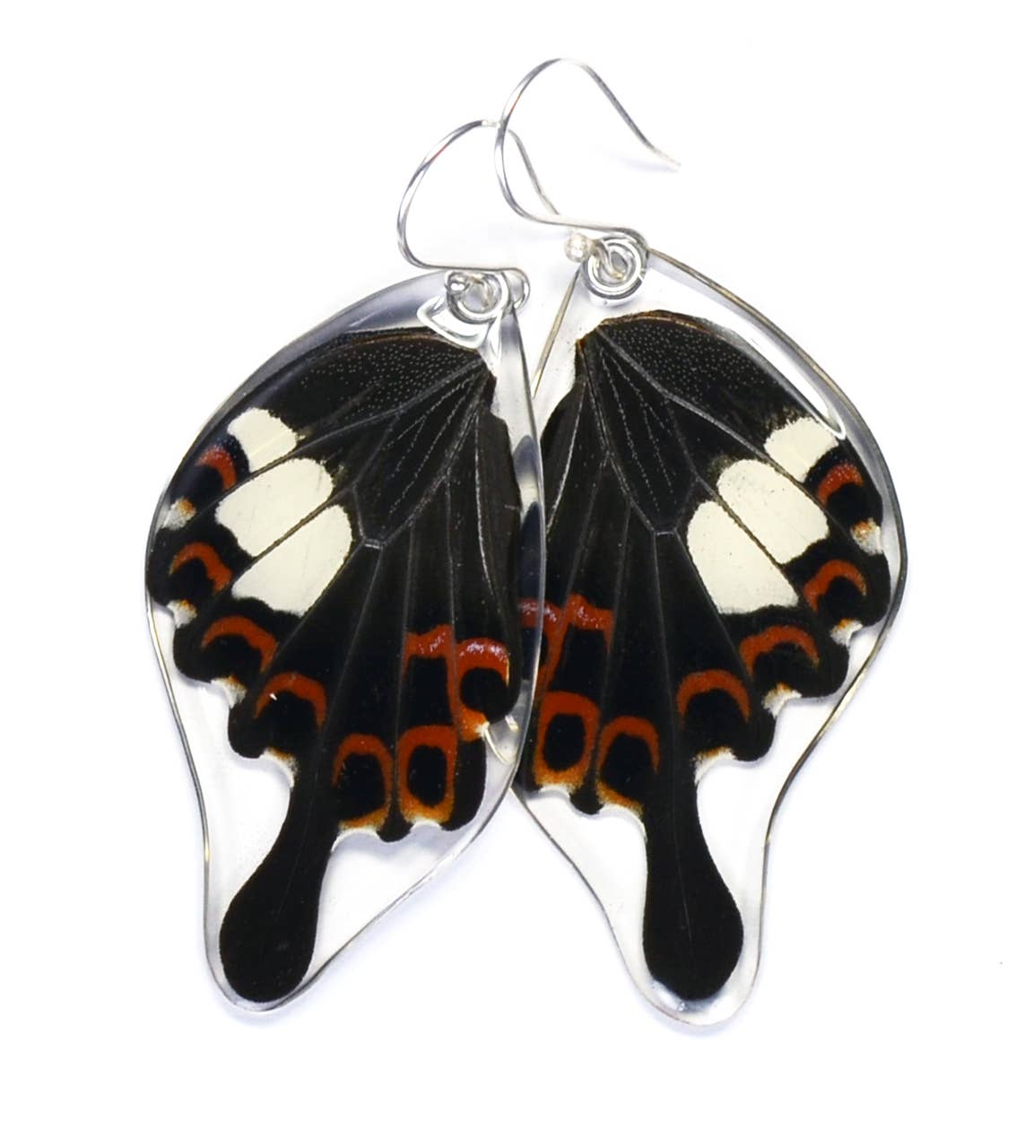 0350 Butterfly Earrings, Papilio Helenus, Bottom Wing