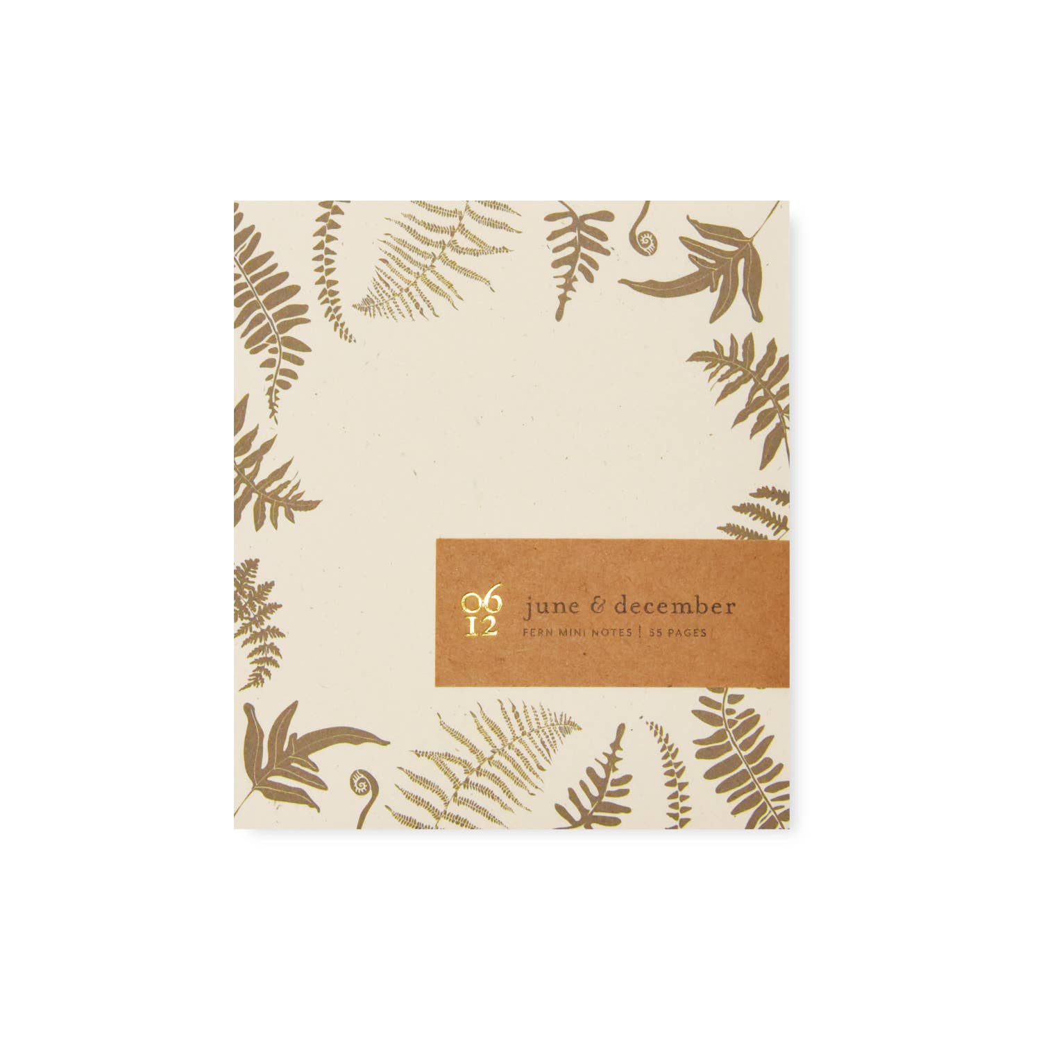 Fern Mini Notes / Recycled Notepad: 4"x4.5"