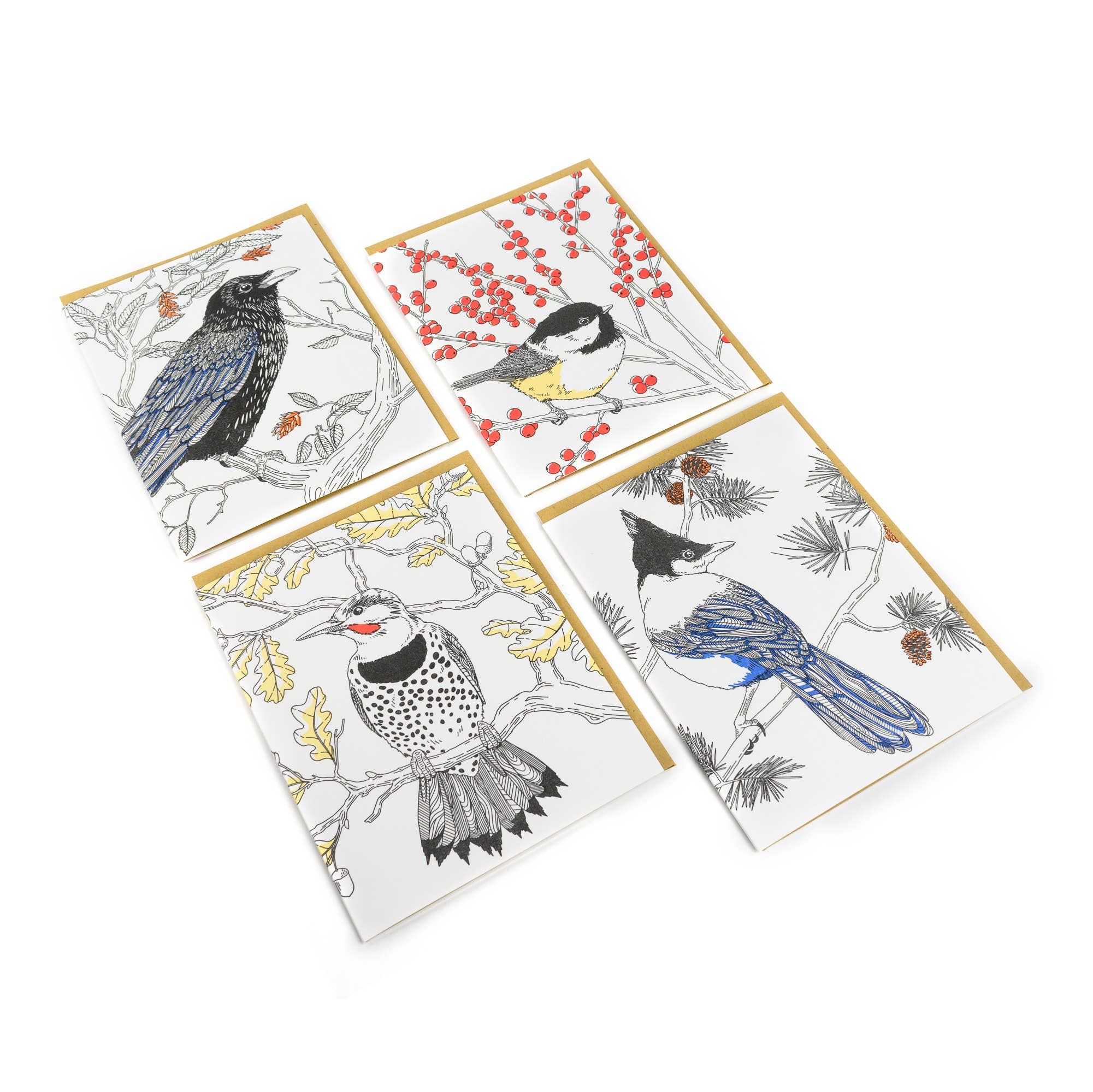 Nature Bird Series_Steller's Jay: Single Card