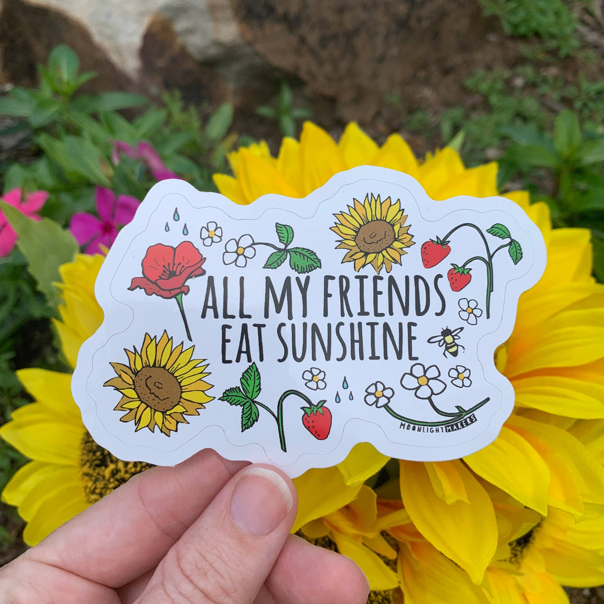All My Friends Eat Sunshine - Plant Stickers