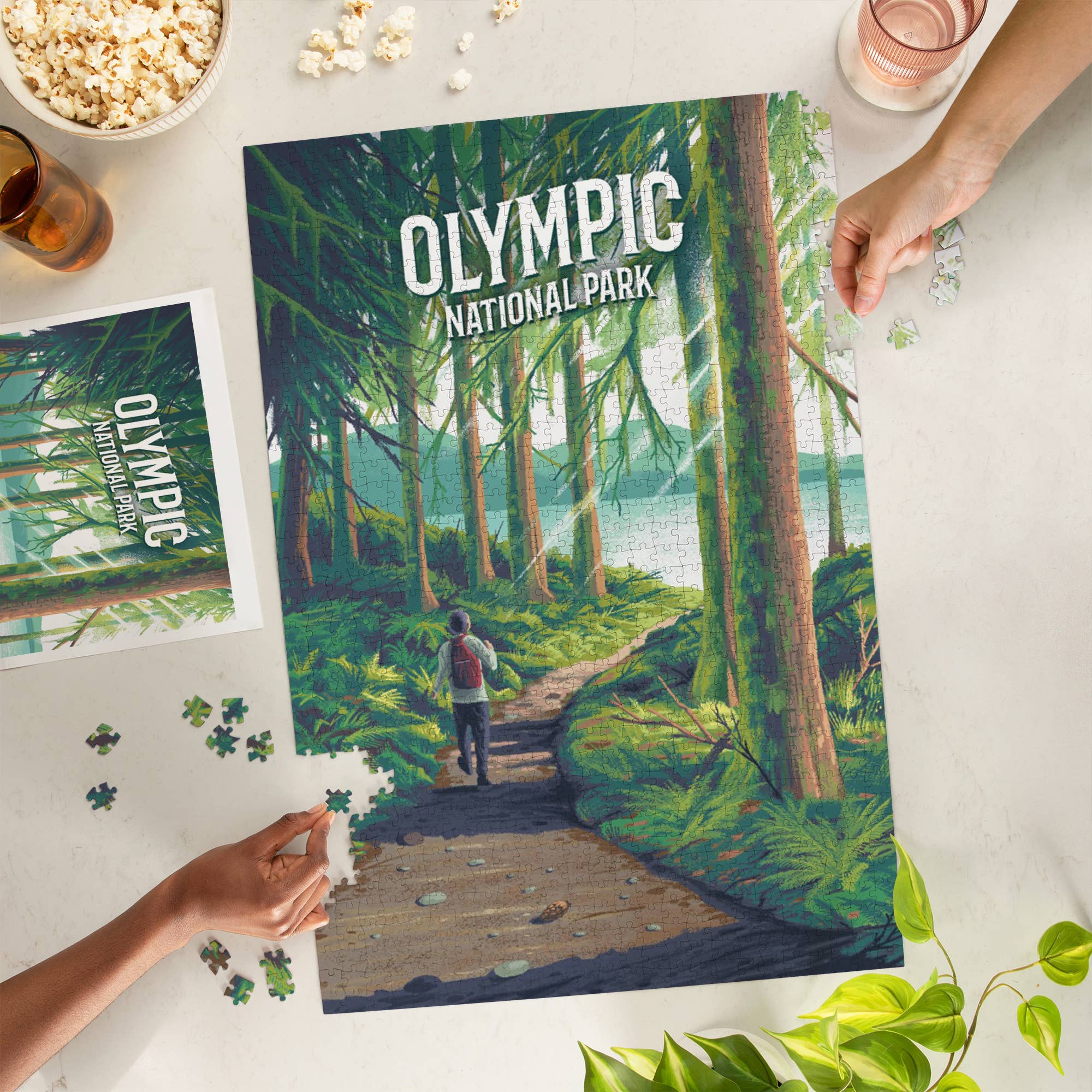1000 PIECE PUZZLE Olympic National Park, Walk in the Woods