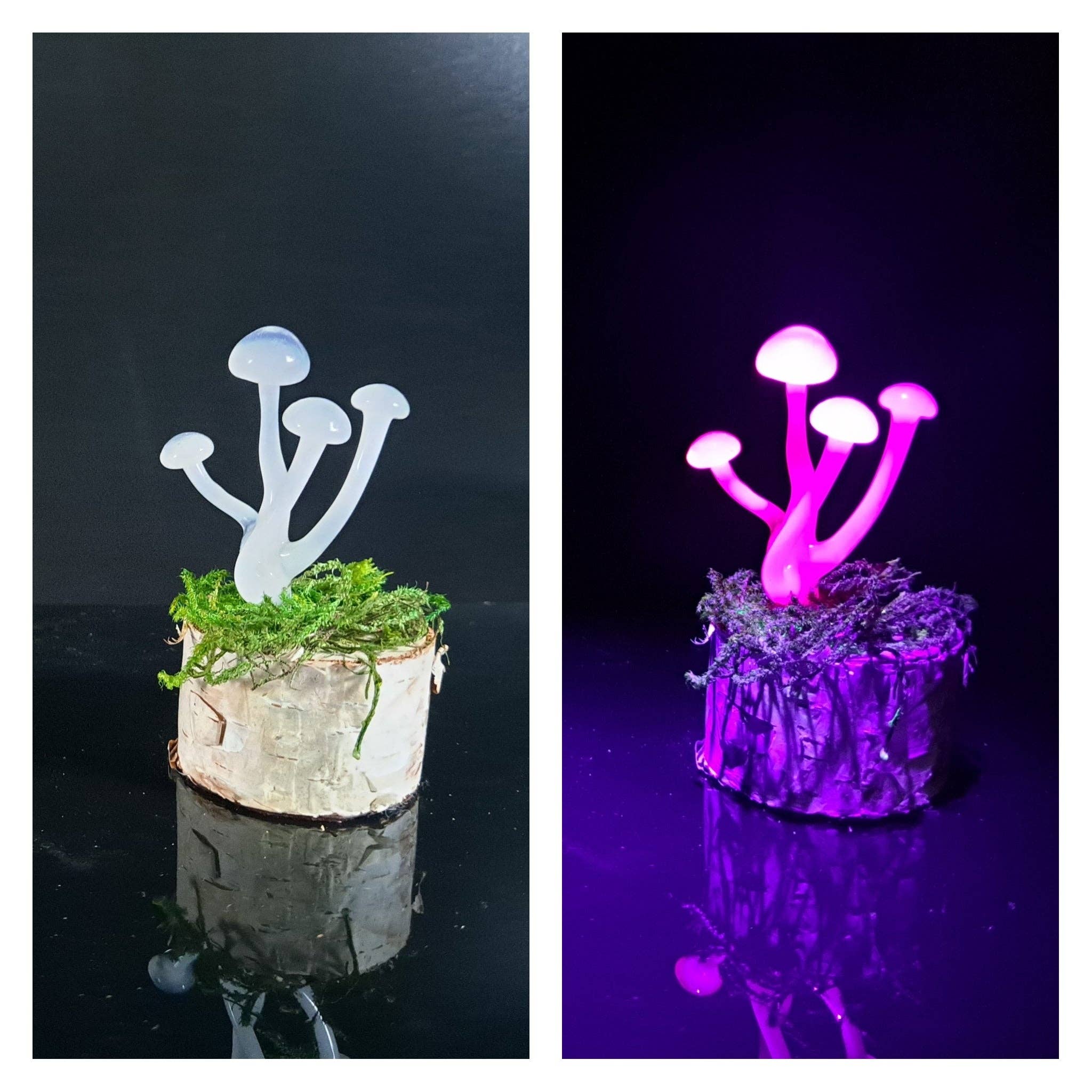 Mushroom Sculpture, UV Black Light, Made to Order: Atomic stardust