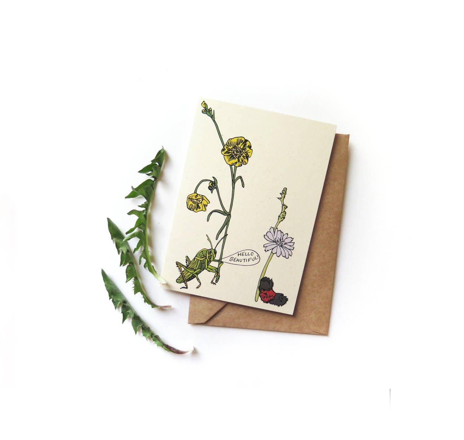 Little Bugs Cards - Grasshopper and Caterpillar