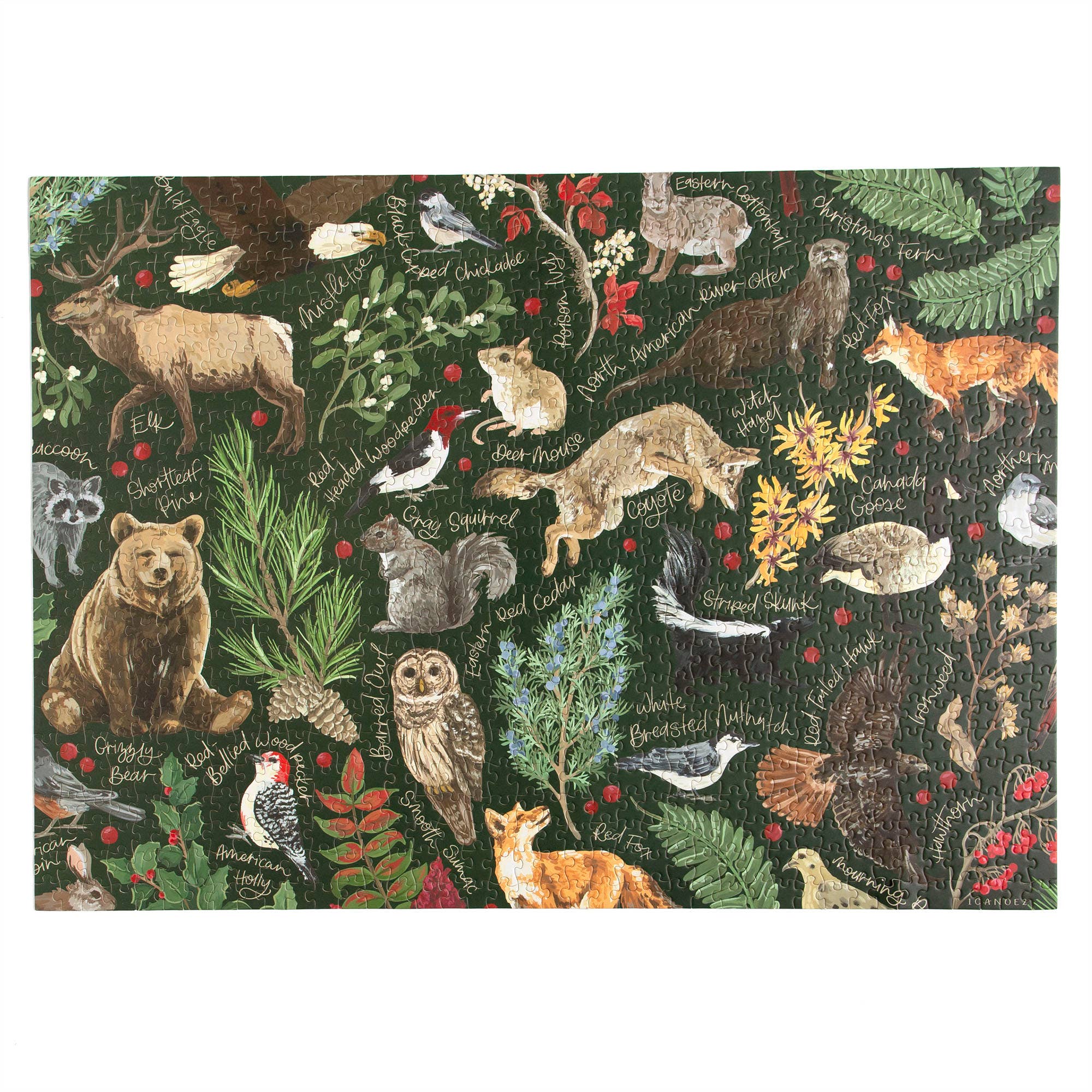 Winter Flora & Fauna - 1,000 Piece Jigsaw Puzzle