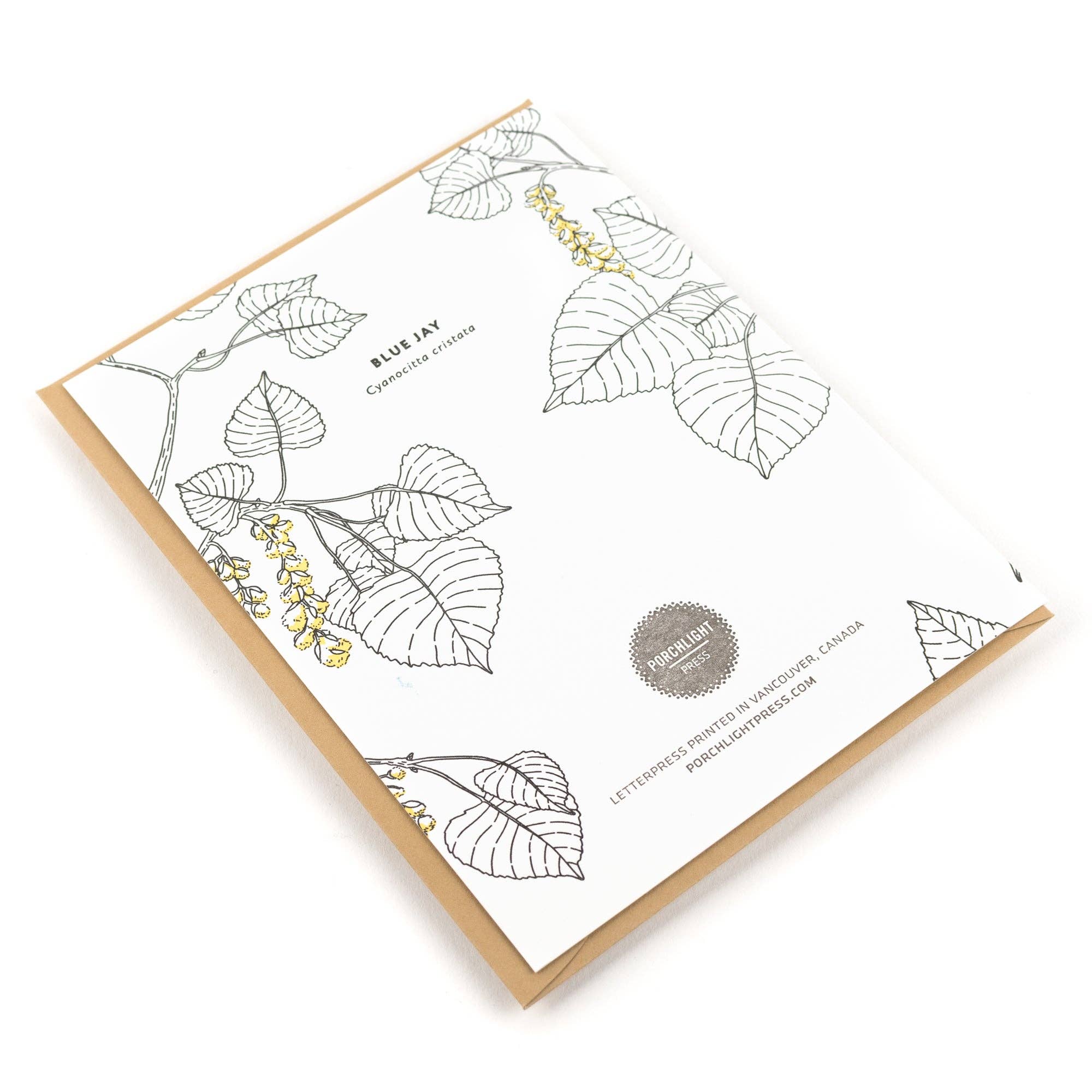 Card: Blue Jay Greeting Card - Nature Birds Collection: Single Card