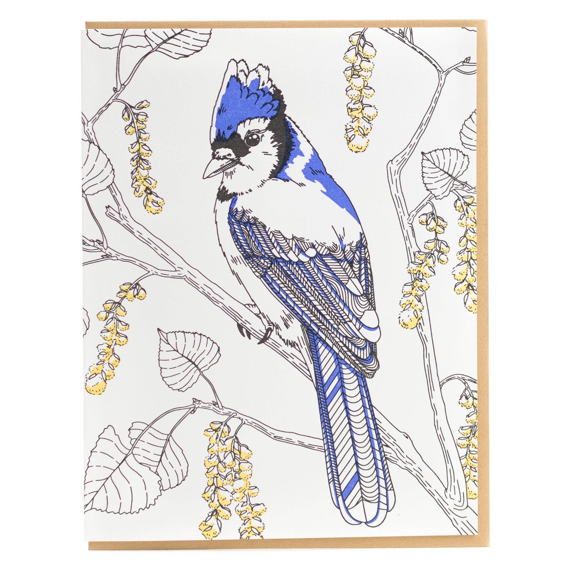 Card: Blue Jay Greeting Card - Nature Birds Collection: Single Card