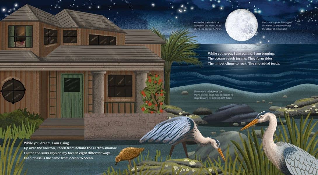 Wild Moon: How the Lunar Phases Light Up Our World