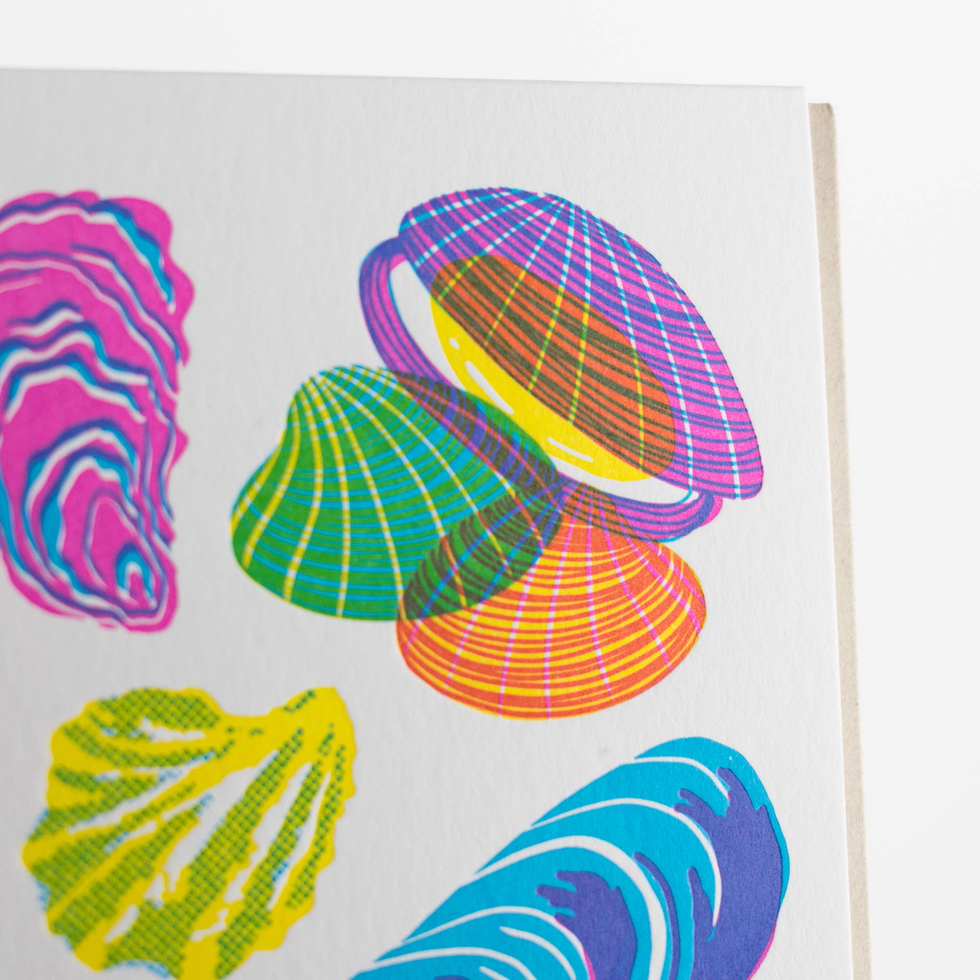 Vibrant Life Series - Molluscs Card: Single Card