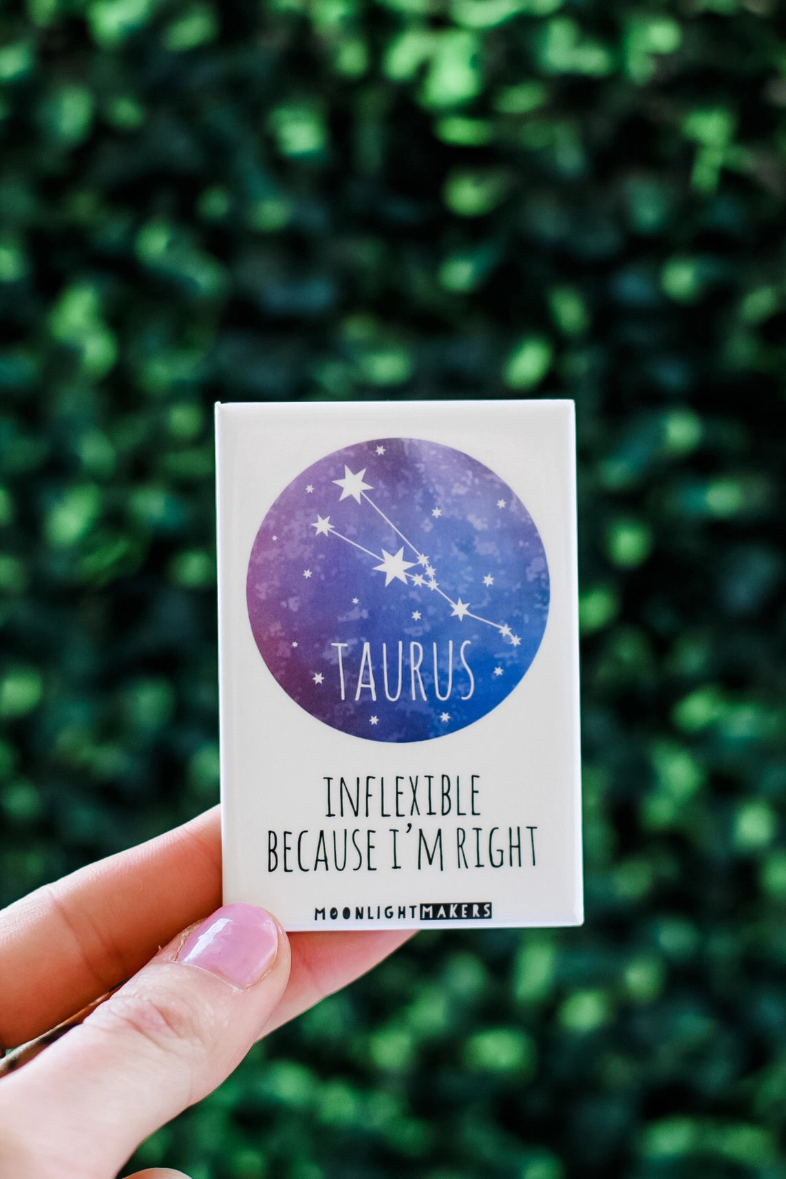 Taurus Magnet