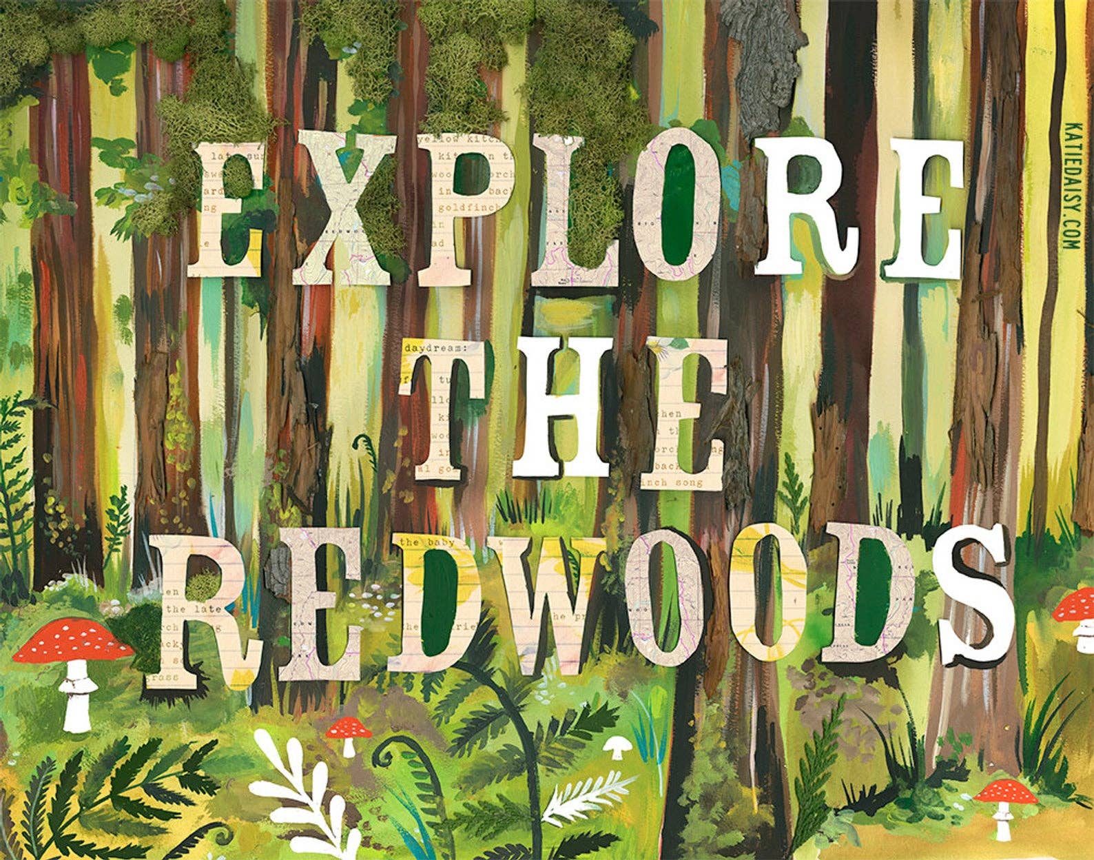 Redwoods Print: 8 x 10