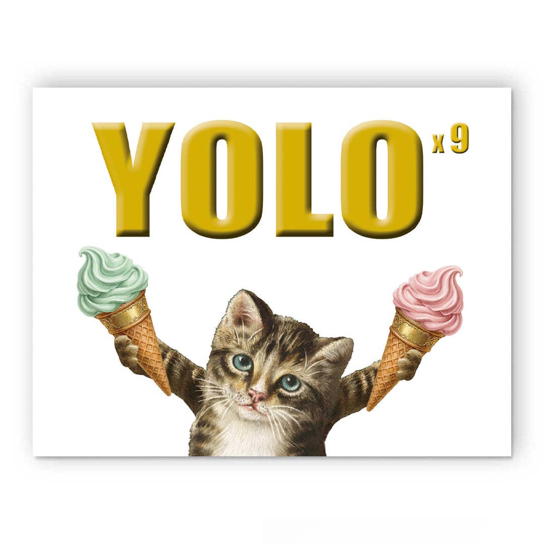 Yolo Cat Birthday Greeting Card