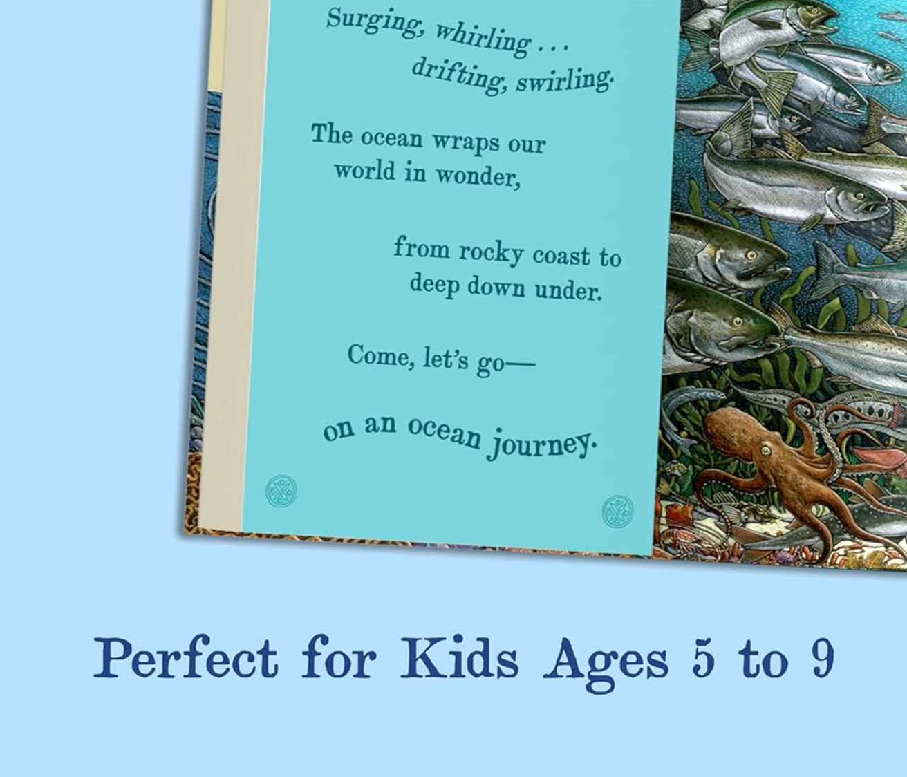 On An Ocean Journey: Animals in Motion through the Seas: Hardcover